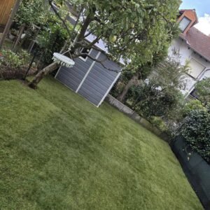 63c3b7b7 025a 4496 98d0 86f6a94866b4