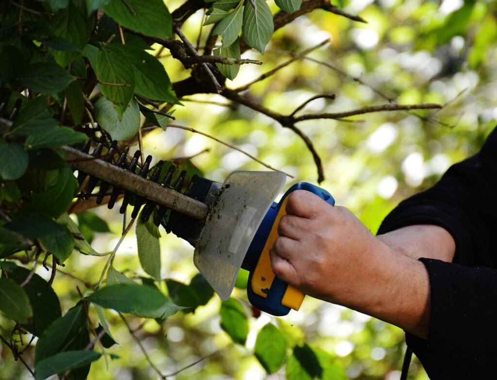 bush, to cut, gardening, gardener, section, branches, garden, nature, work, hedge trimmer
